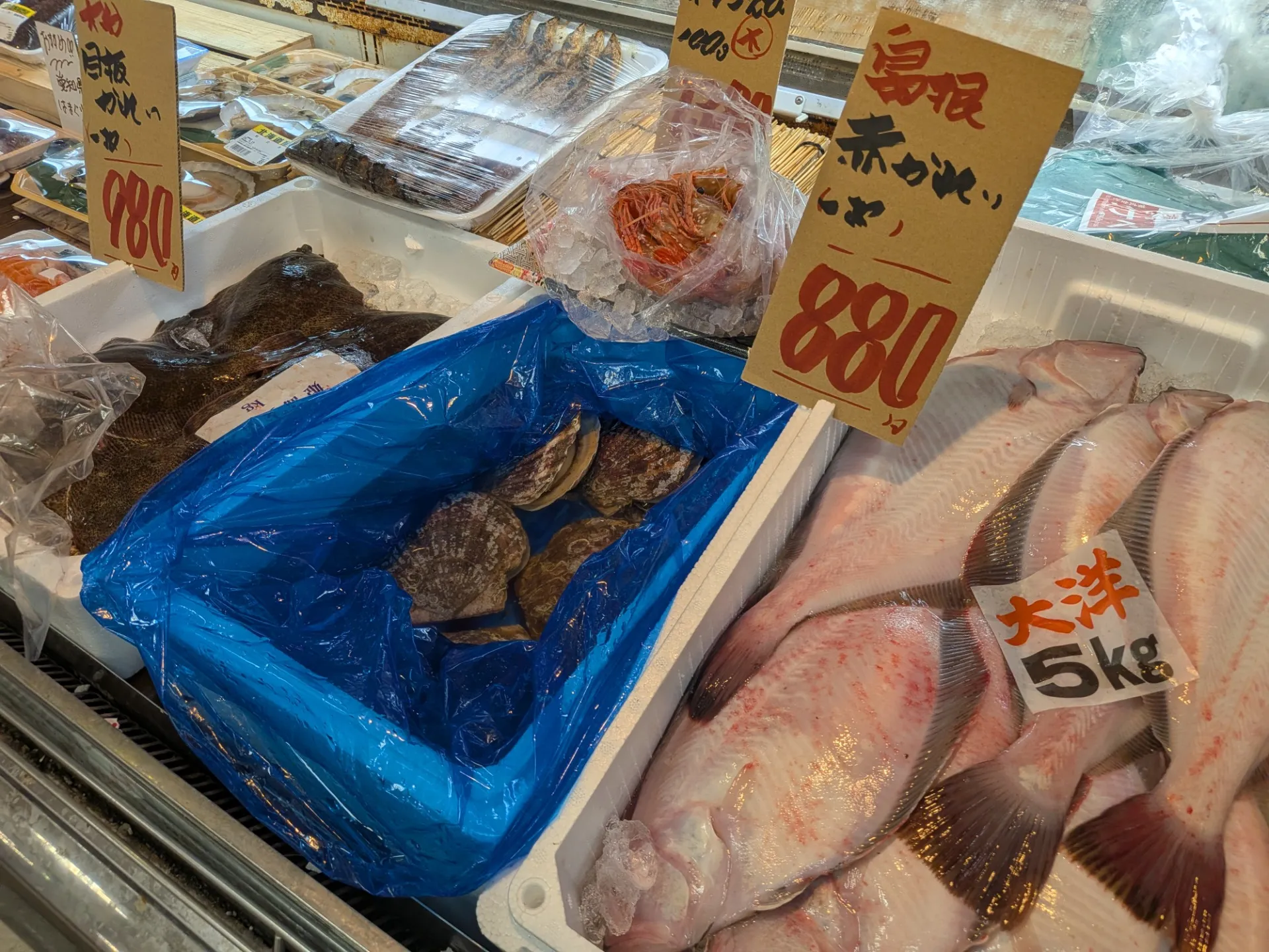 サカナヤサカモト花園店