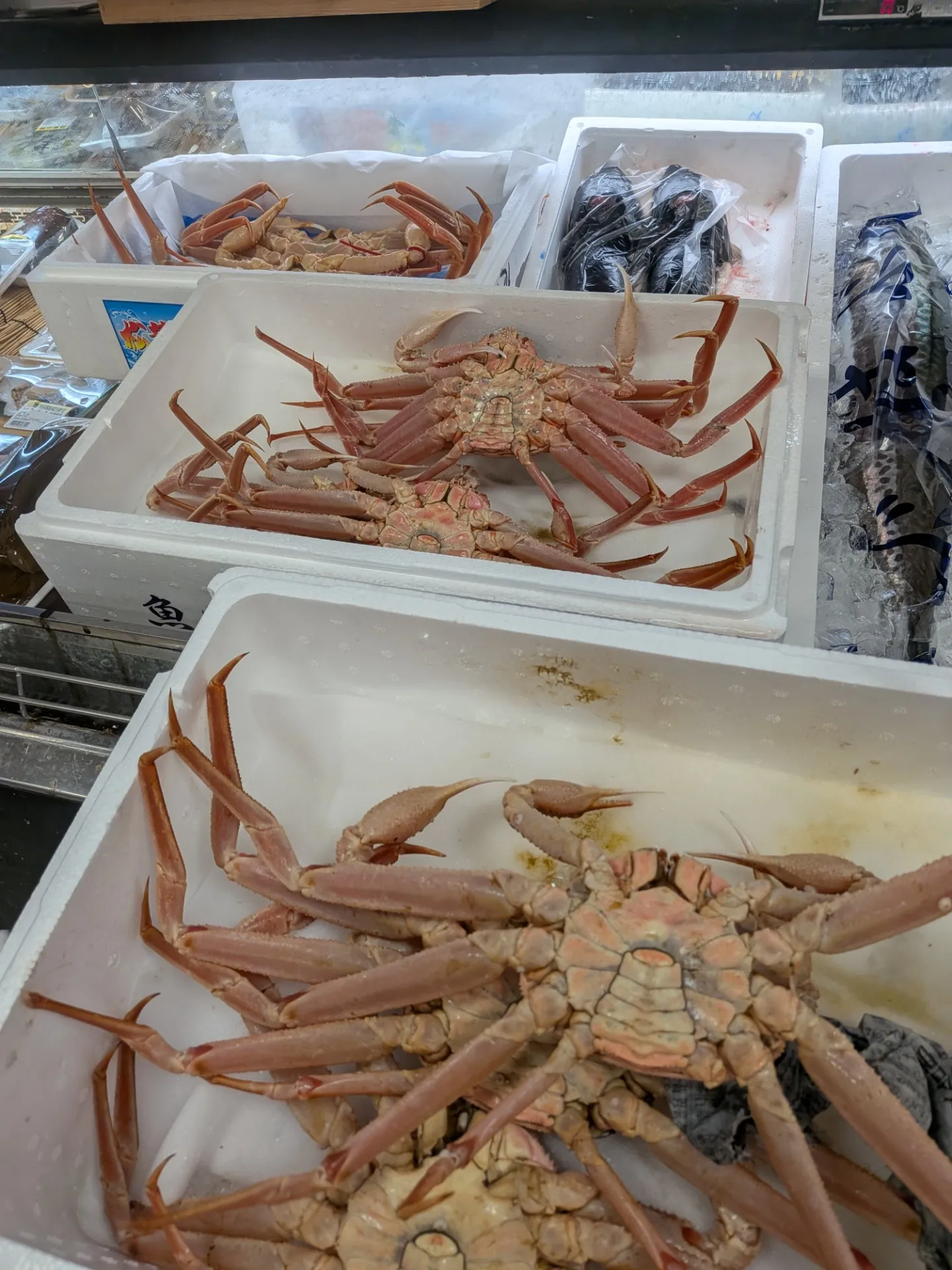 サカナヤサカモト花園店