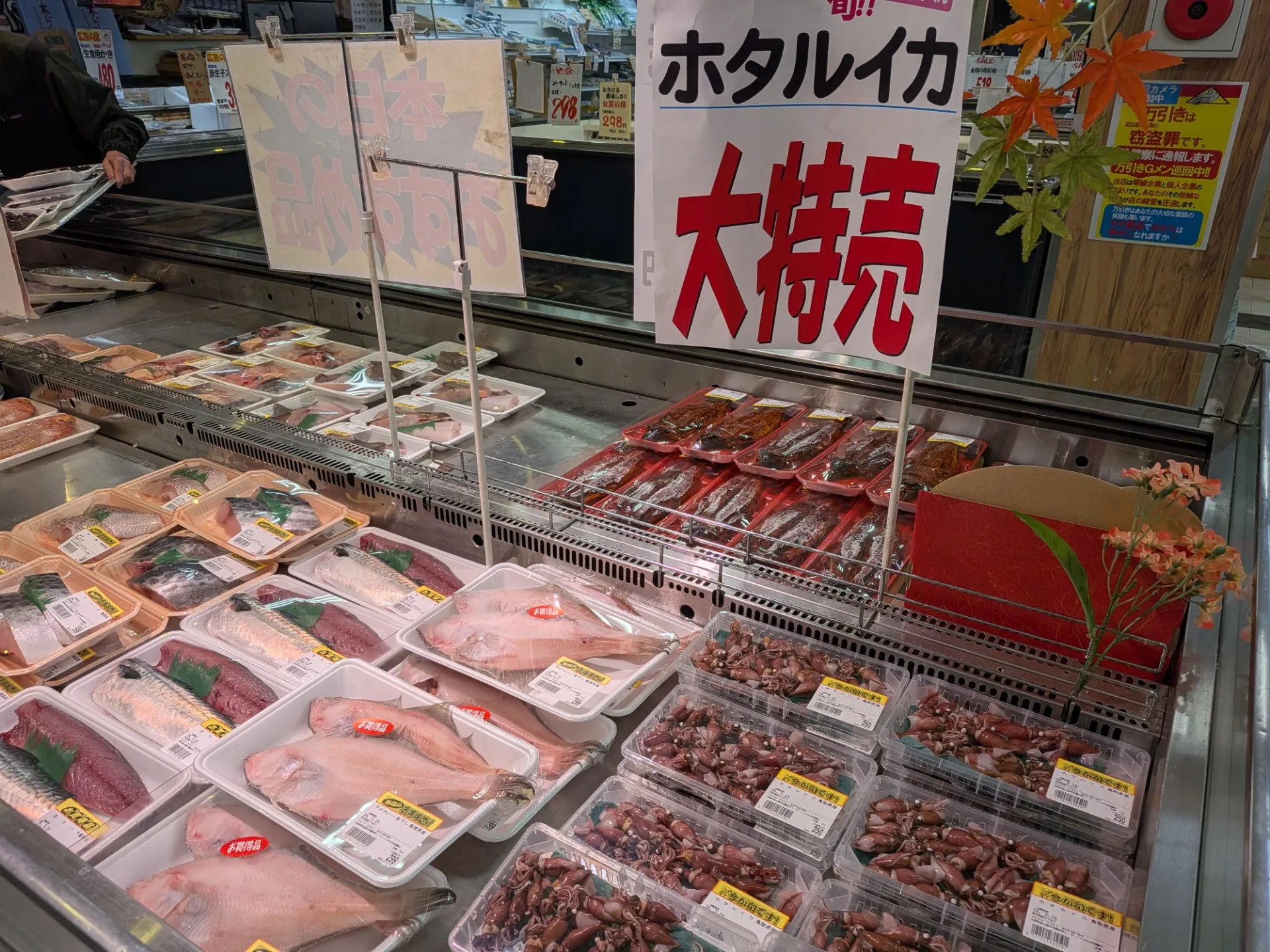 サカナヤサカモト花園店