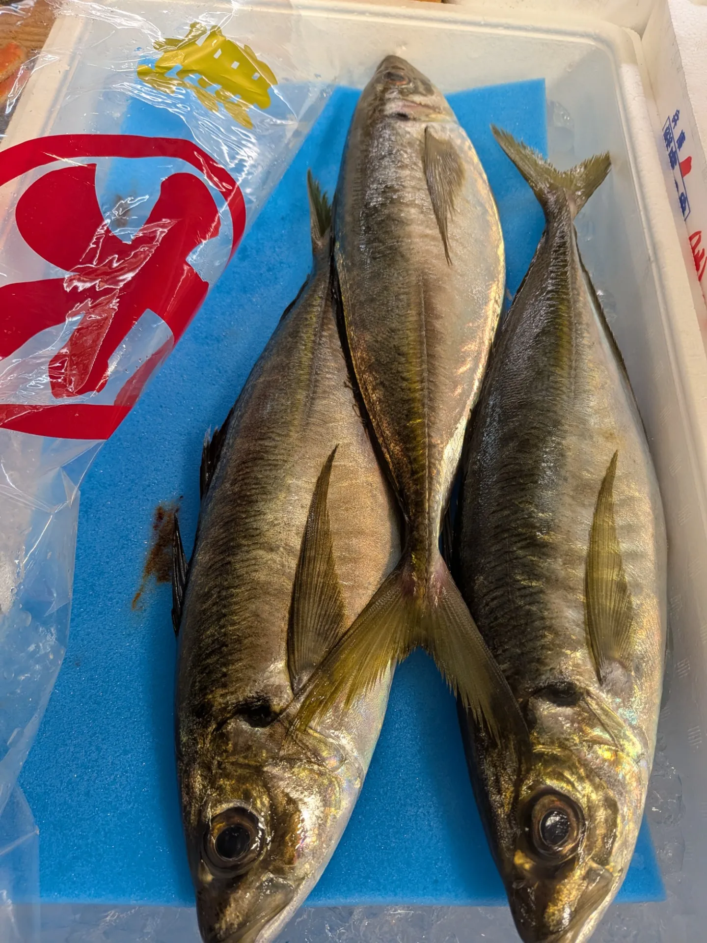 サカナヤサカモト花園店