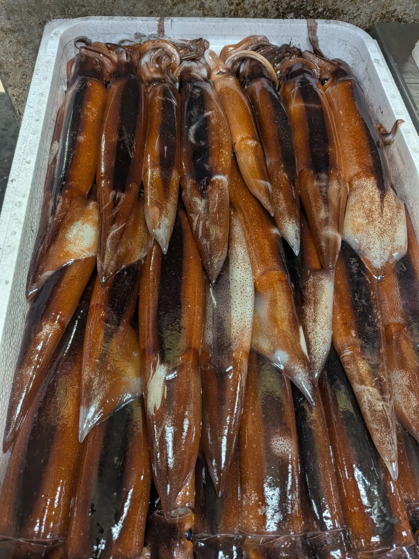 サカナヤサカモト花園店