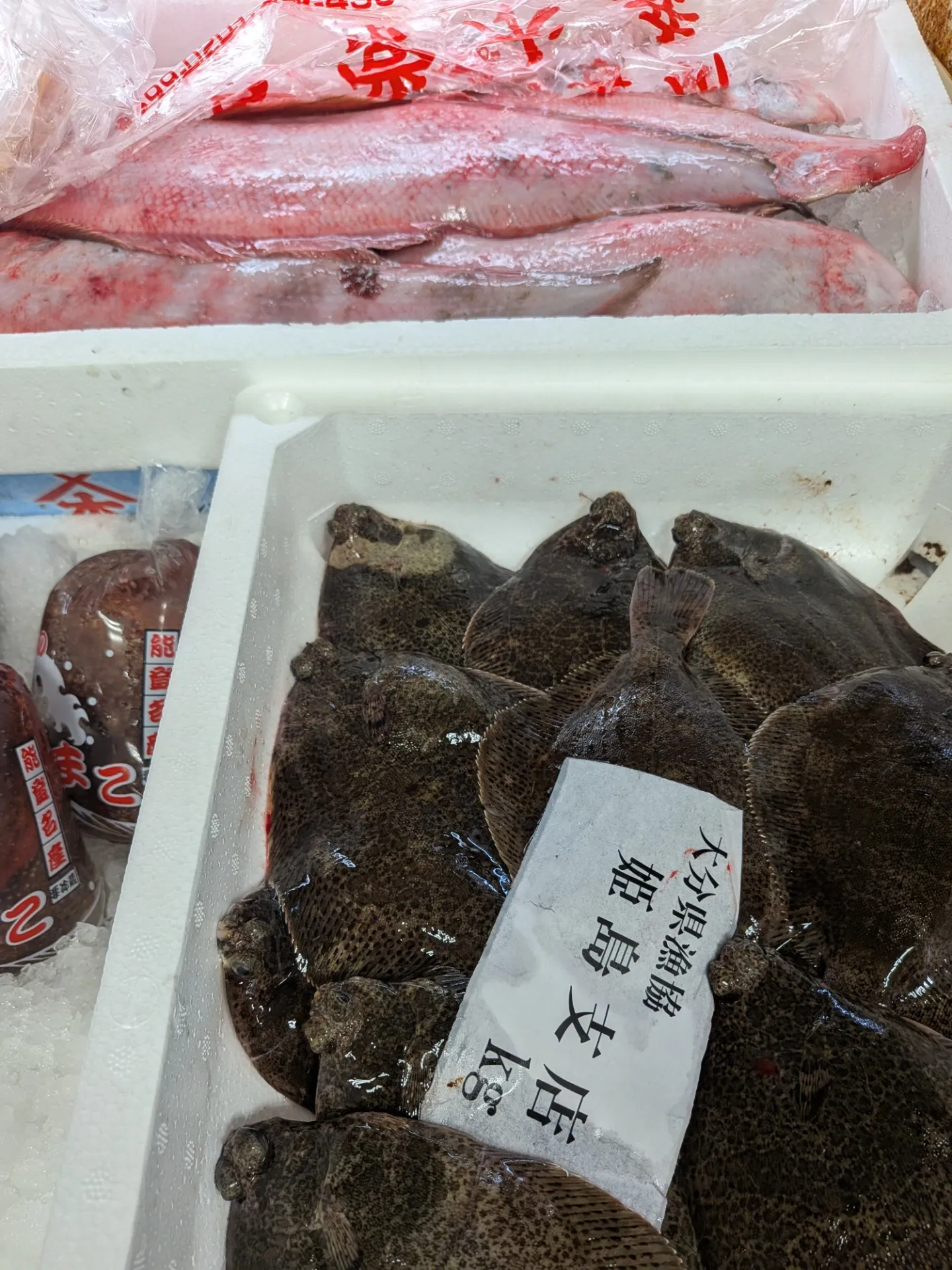 サカナヤサカモト花園店