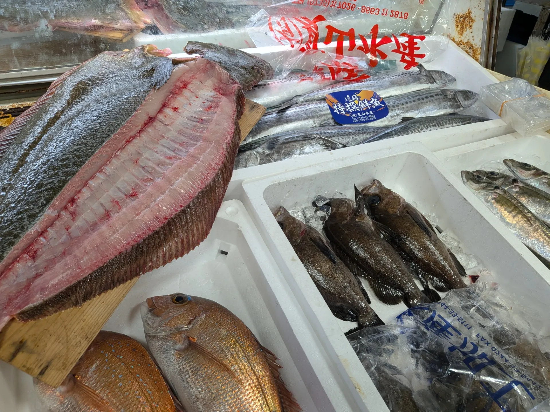 サカナヤサカモト花園店