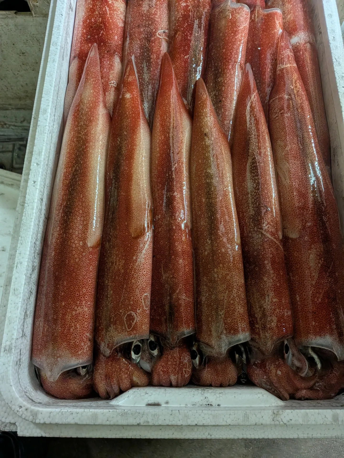 サカナヤサカモト花園店