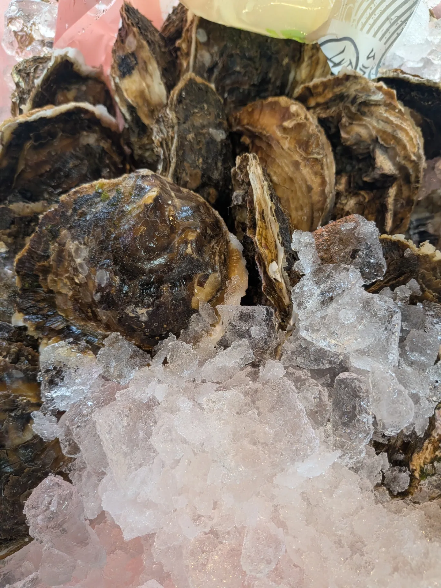 サカナヤサカモト花園店