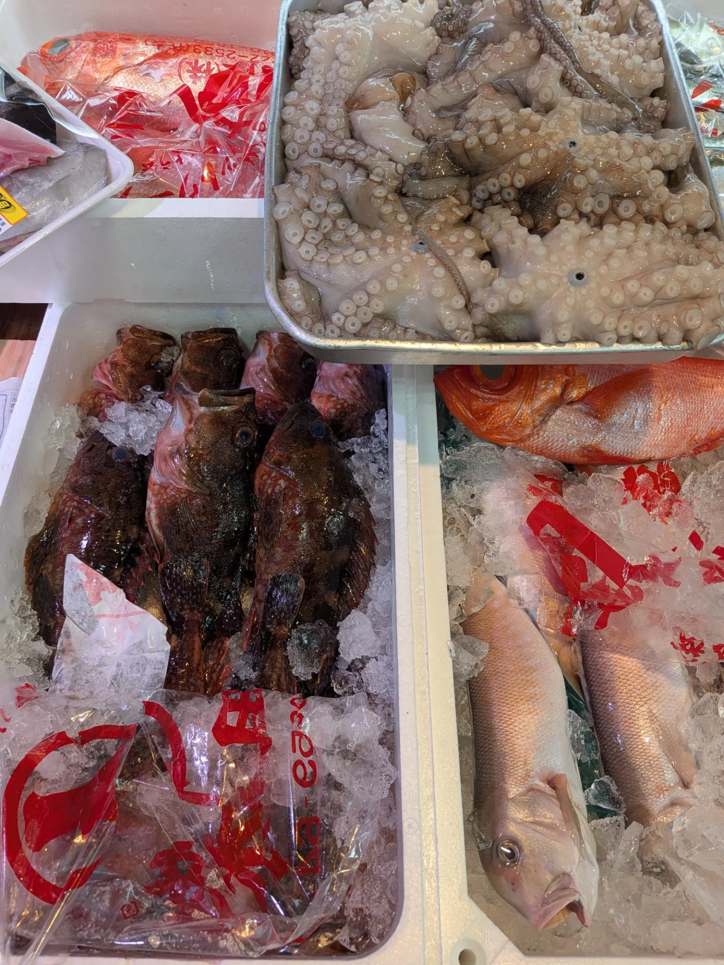 サカナヤサカモト花園店