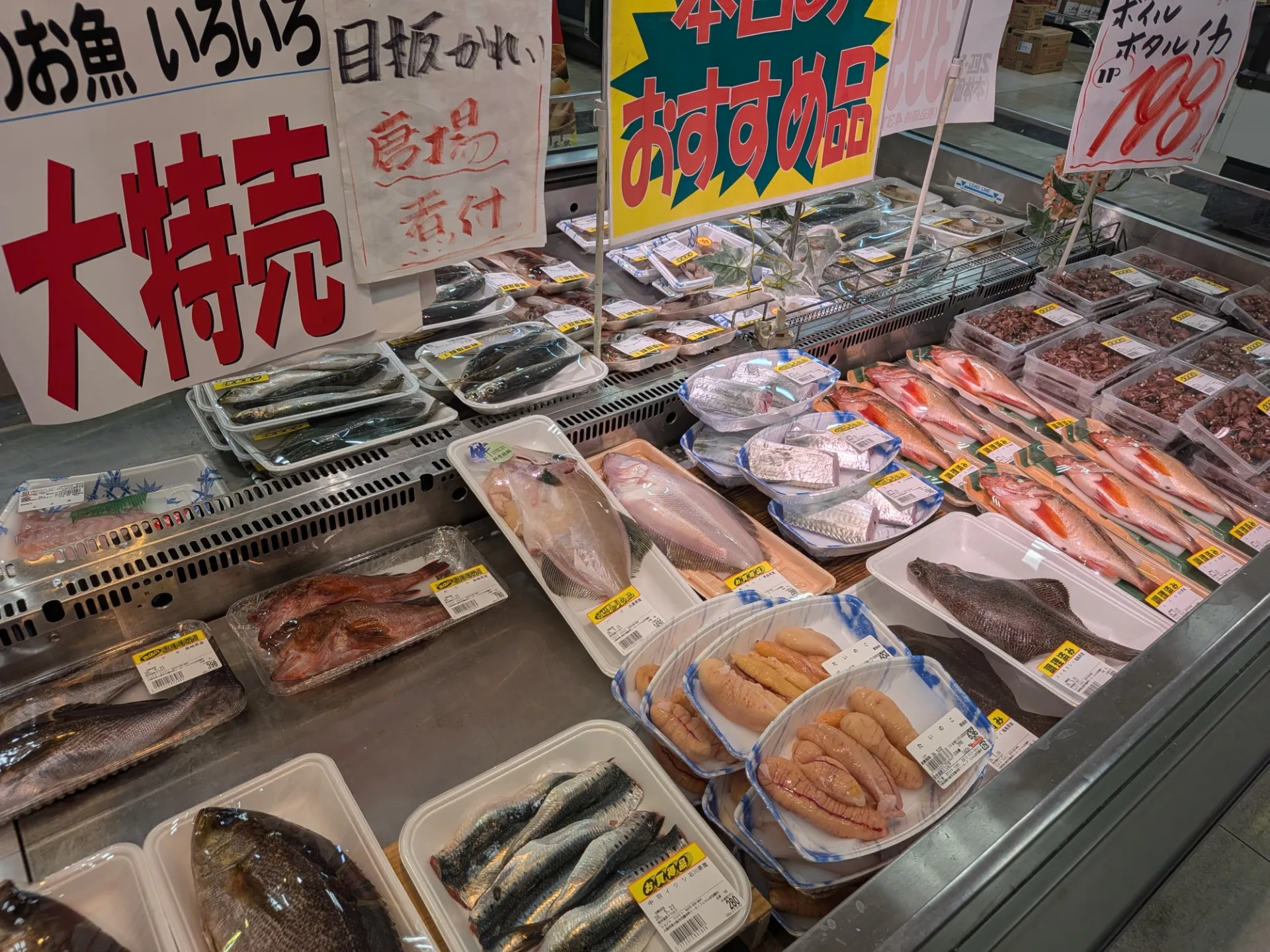 サカナヤサカモト花園店