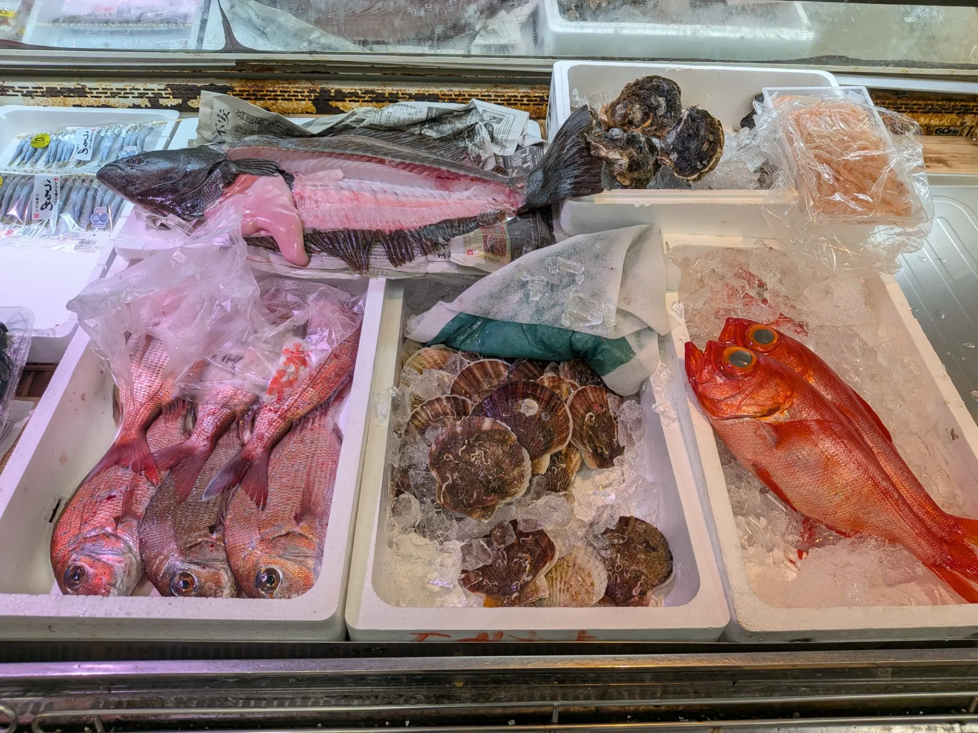 サカナヤサカモト花園店