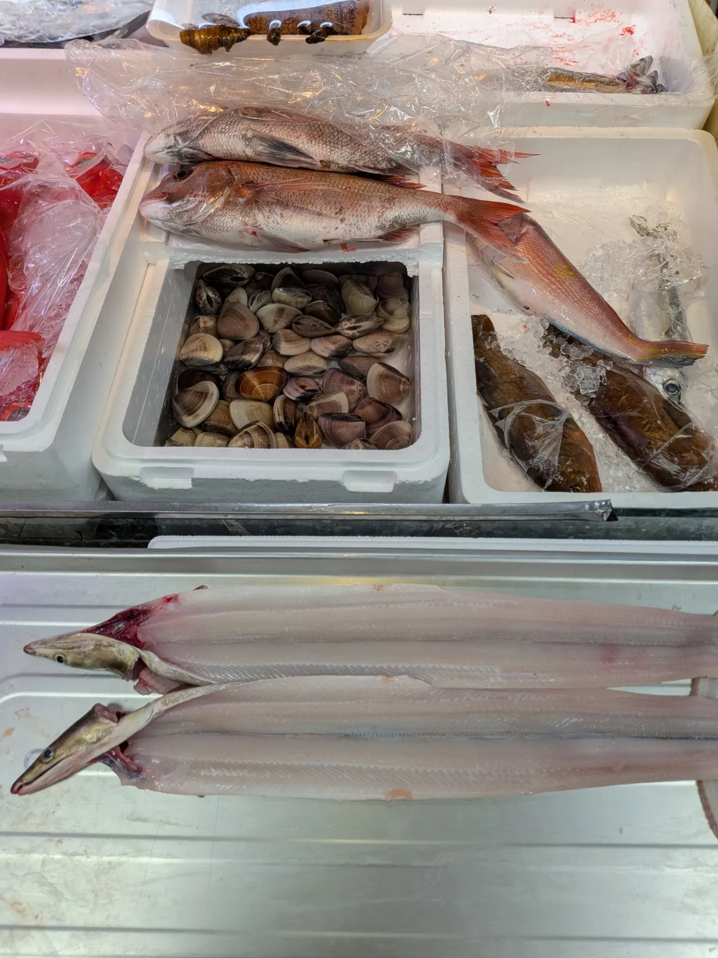 サカナヤサカモト花園店