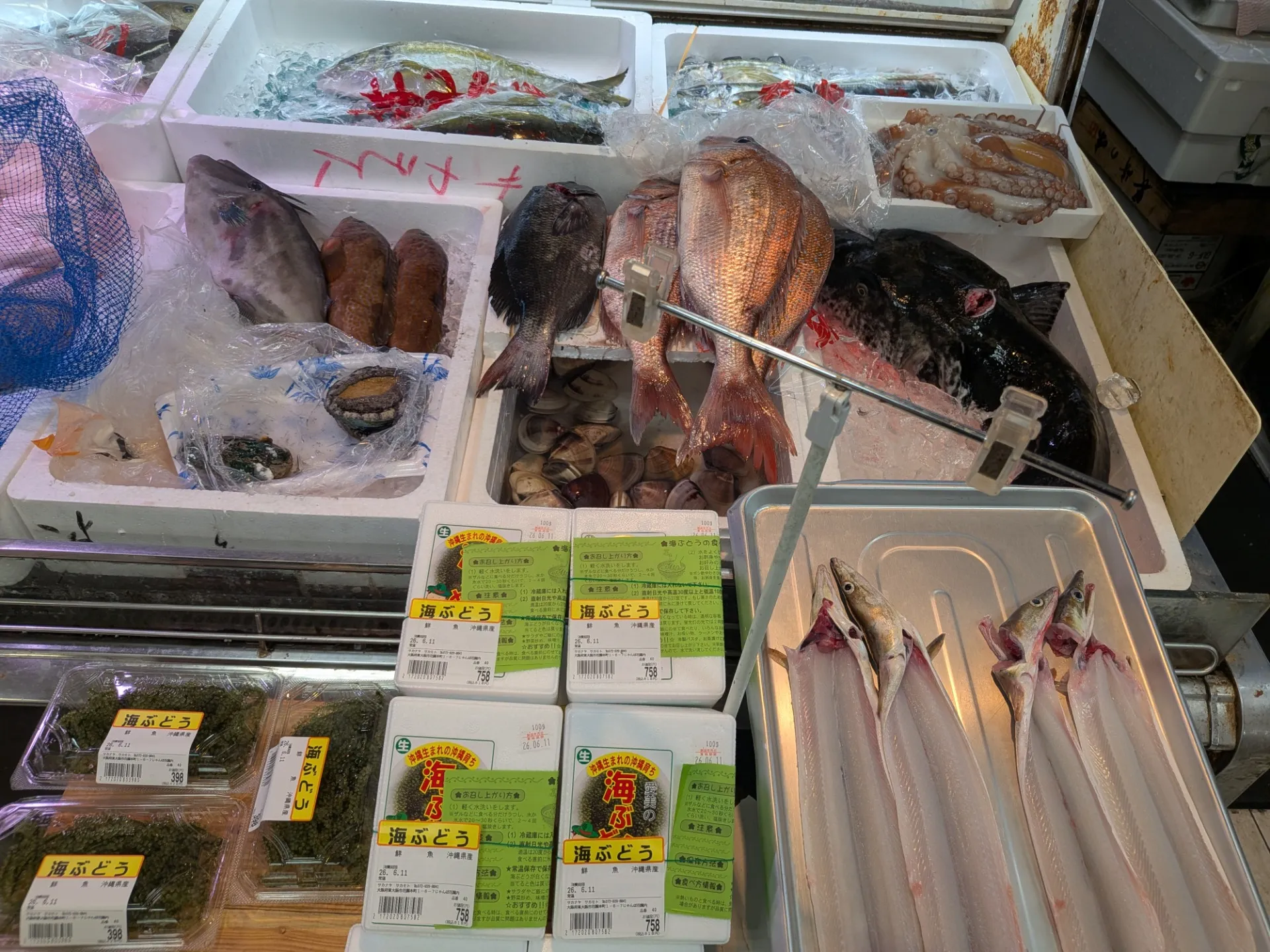 サカナヤサカモト花園店
