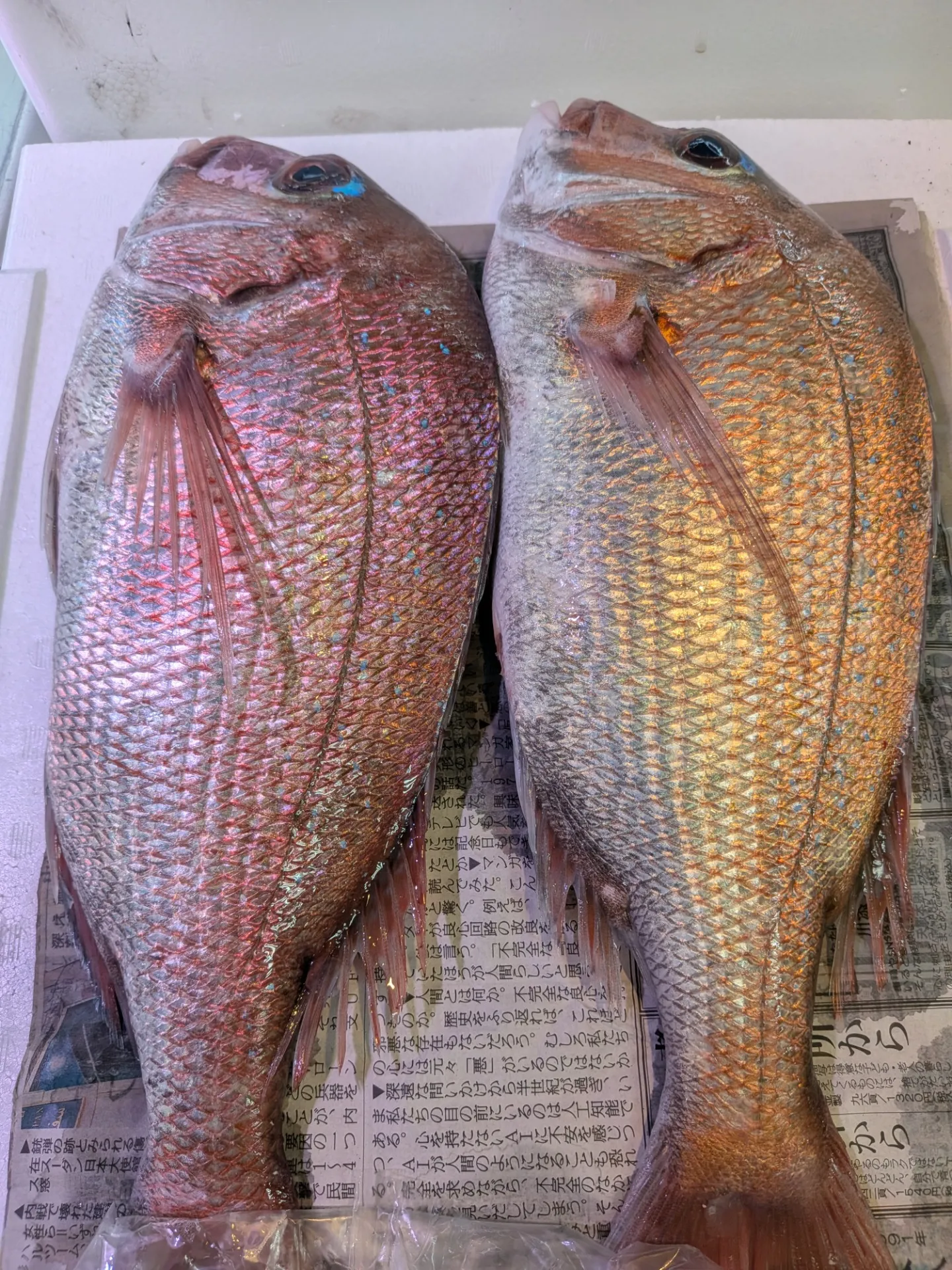 サカナヤサカモト花園店