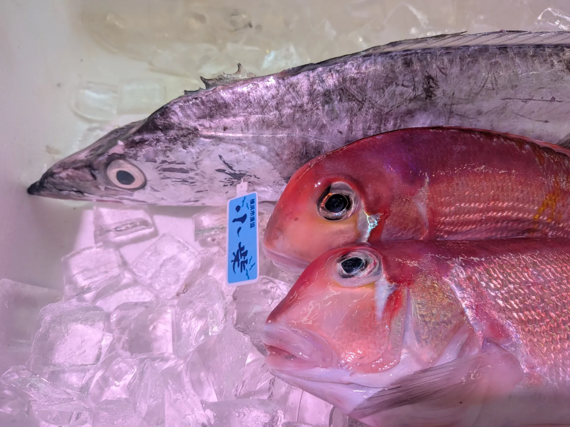 サカナヤサカモト花園店