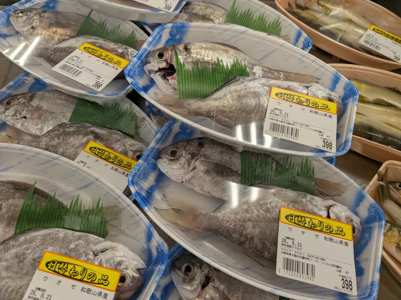 サカナヤサカモト花園店