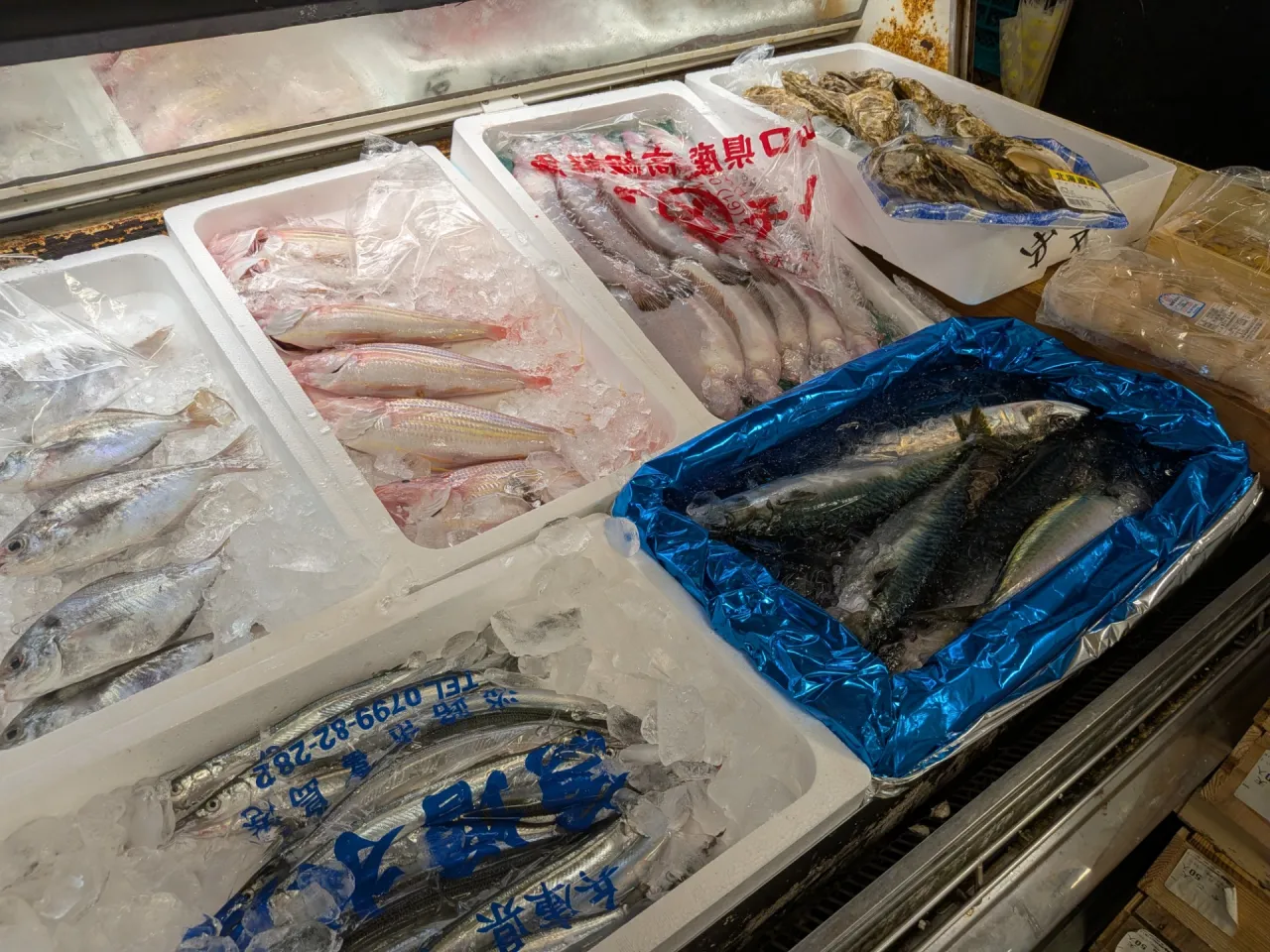 サカナヤサカモト花園店