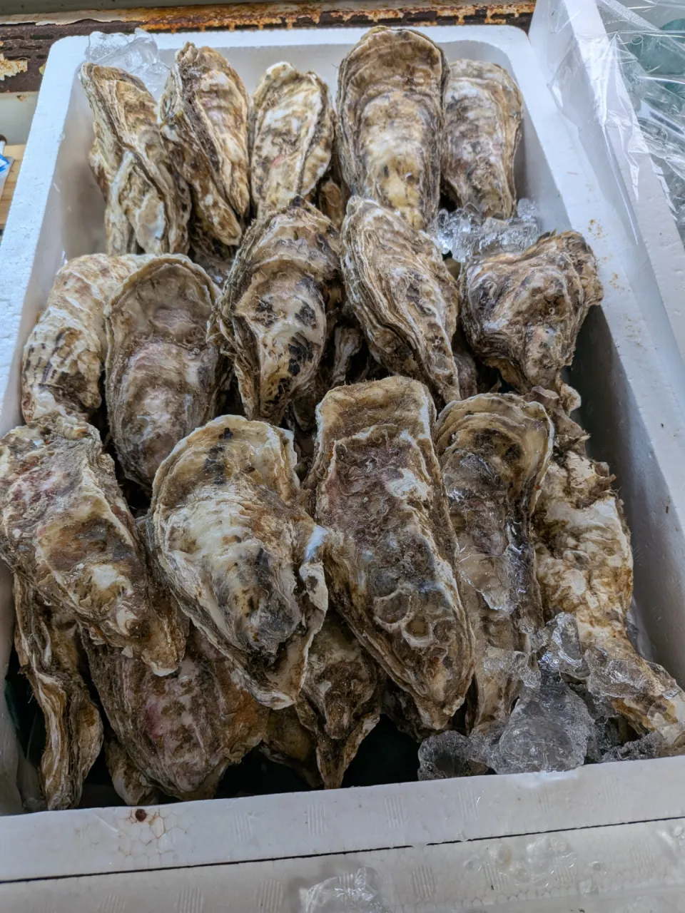 サカナヤサカモト花園店