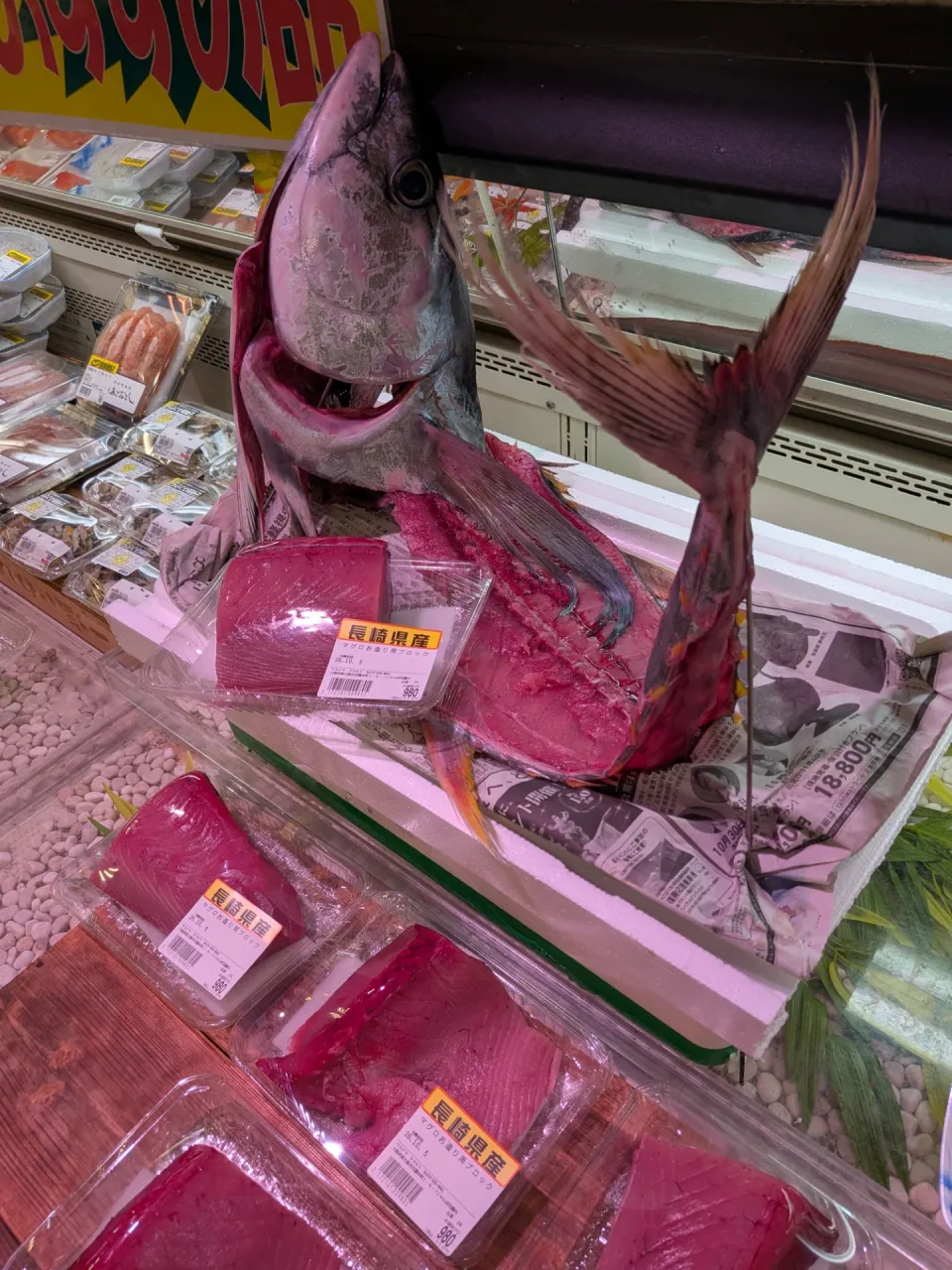 サカナヤサカモト花園店