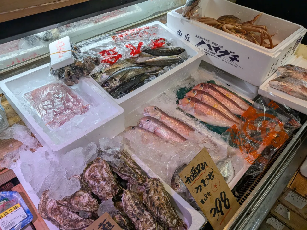 サカナヤサカモト花園店