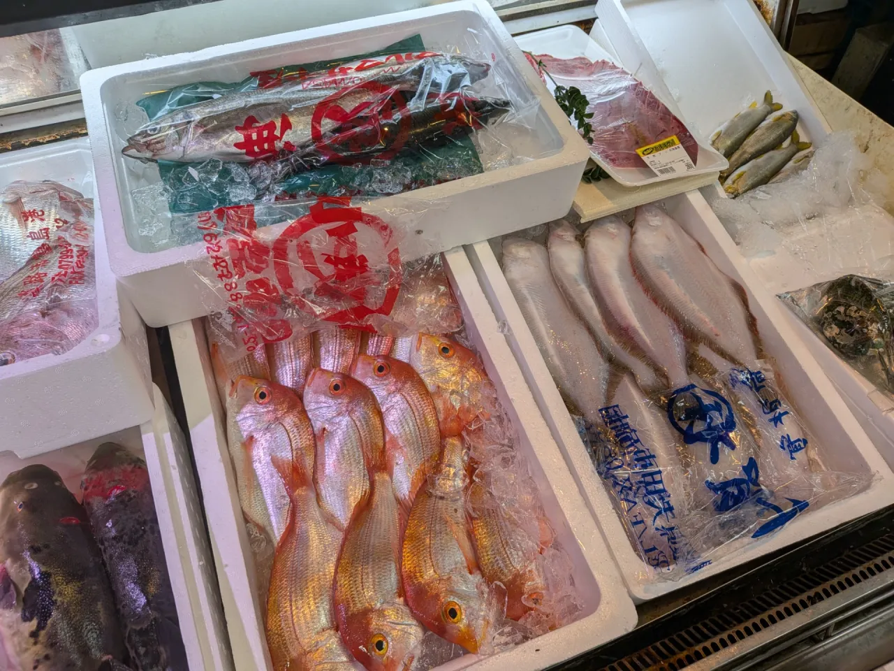 サカナヤサカモト花園店